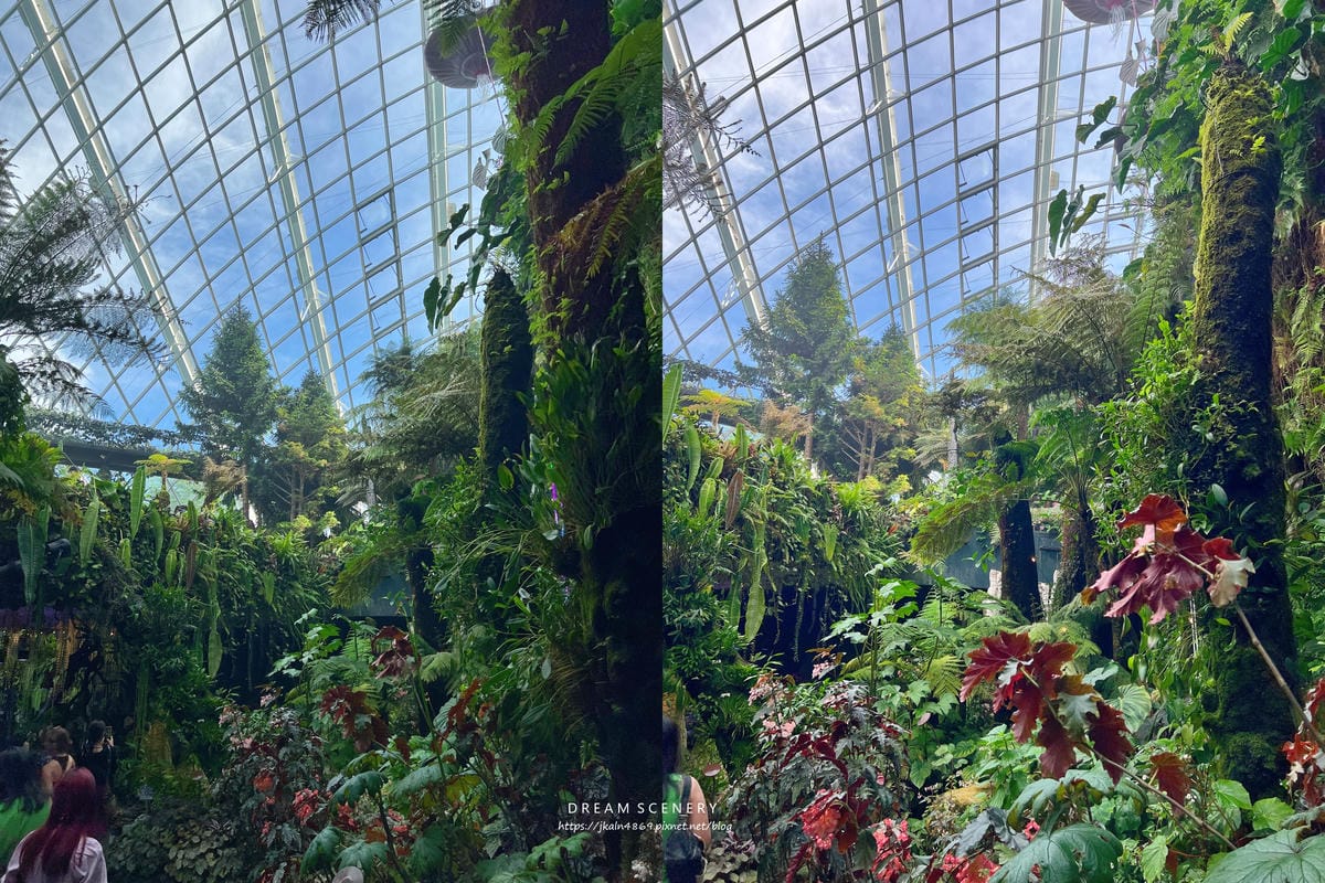 濱海灣花園