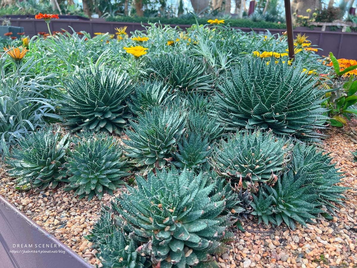 濱海灣花園