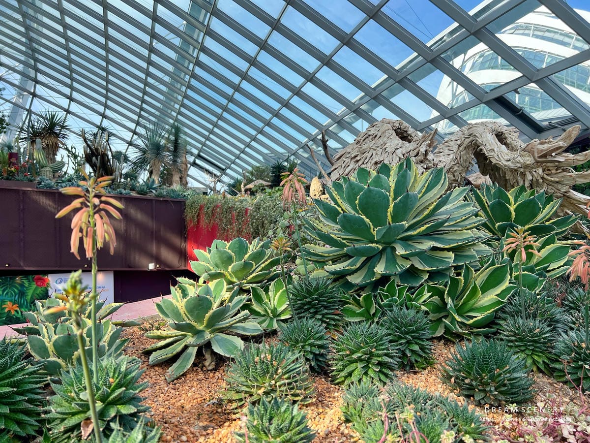濱海灣花園