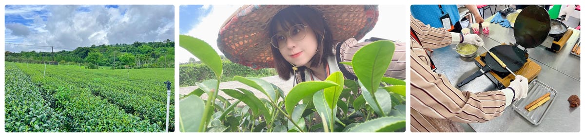 鳴日號旅行DAY3 鳴日號旅行DAY3