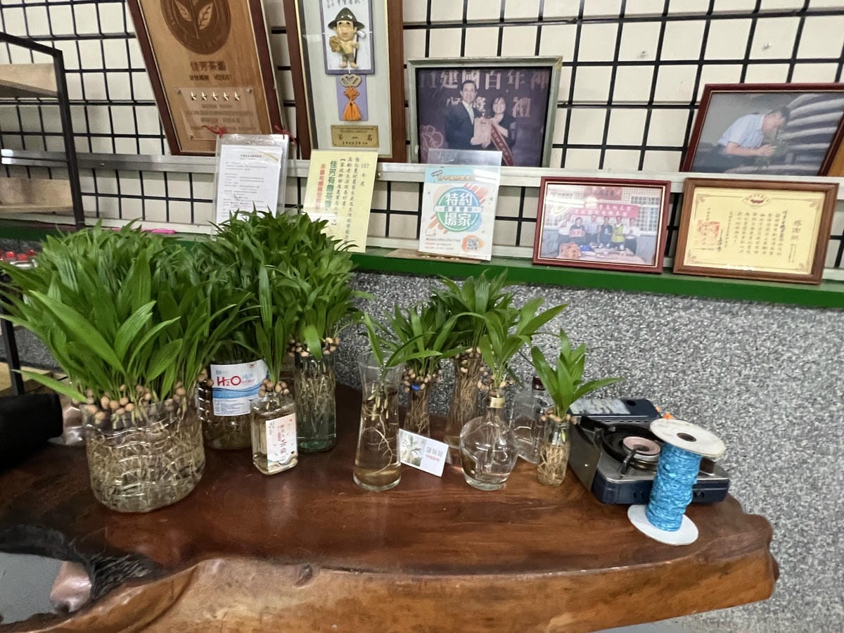佳芳茶園 佳芳茶園