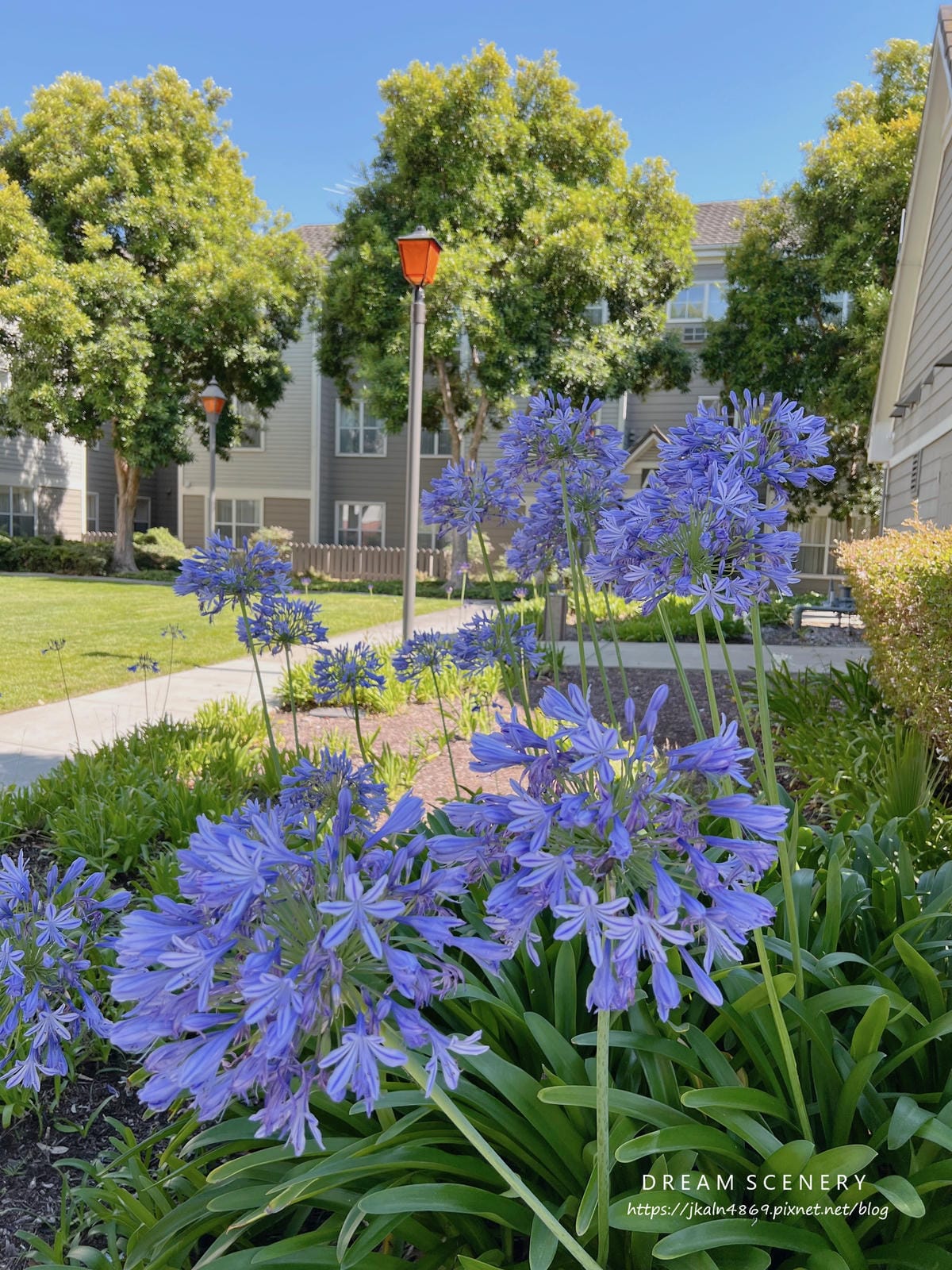 【美國-Milpitas】Residence Inn by 【美國-Milpitas】Residence Inn by