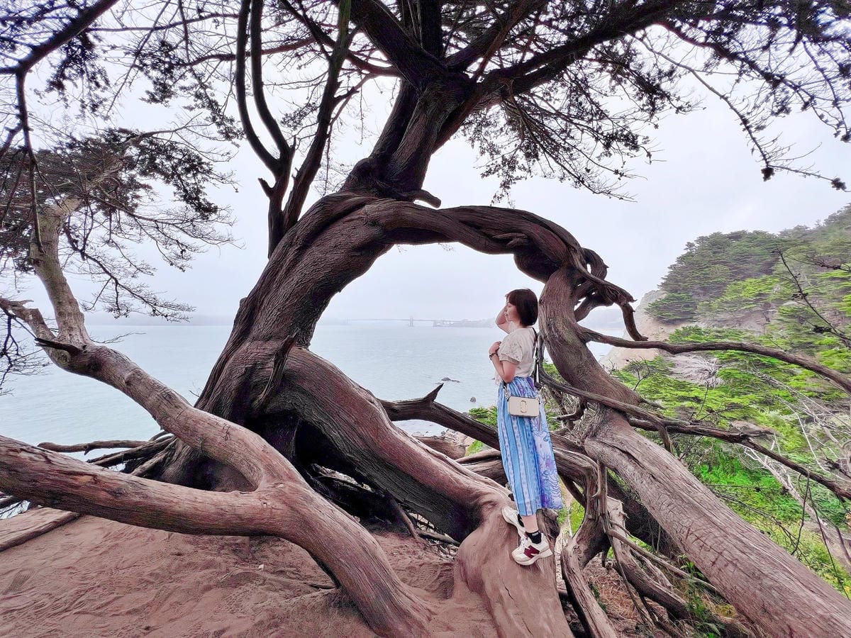 【美國-San Francisco】舊金山藍天秘境│Land 【美國-San Francisco】舊金山藍天秘境│Land