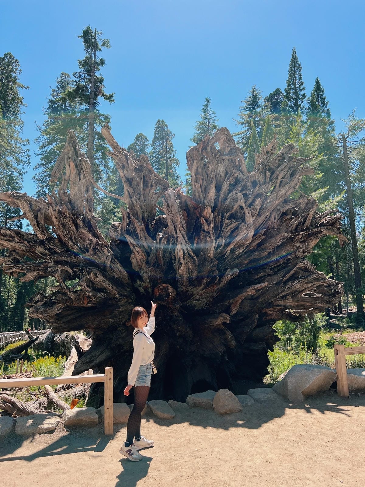 優勝美地國家公園 Yosemite National Park 優勝美地國家公園 Yosemite National Park