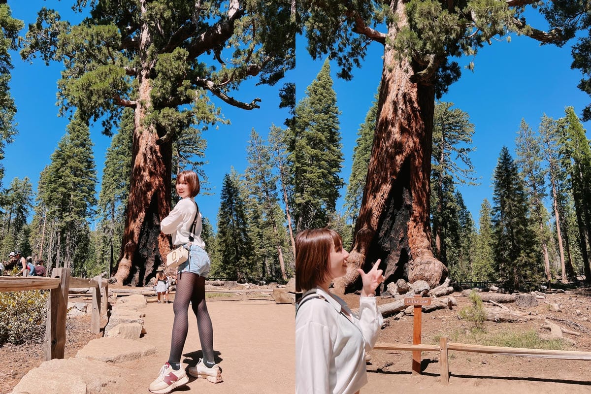 優勝美地國家公園 Yosemite National Park 優勝美地國家公園 Yosemite National Park