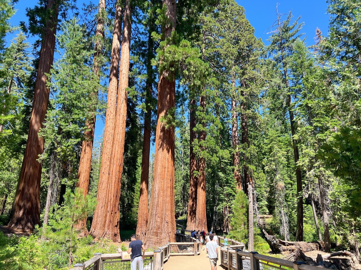 優勝美地國家公園 Yosemite National Park 優勝美地國家公園 Yosemite National Park