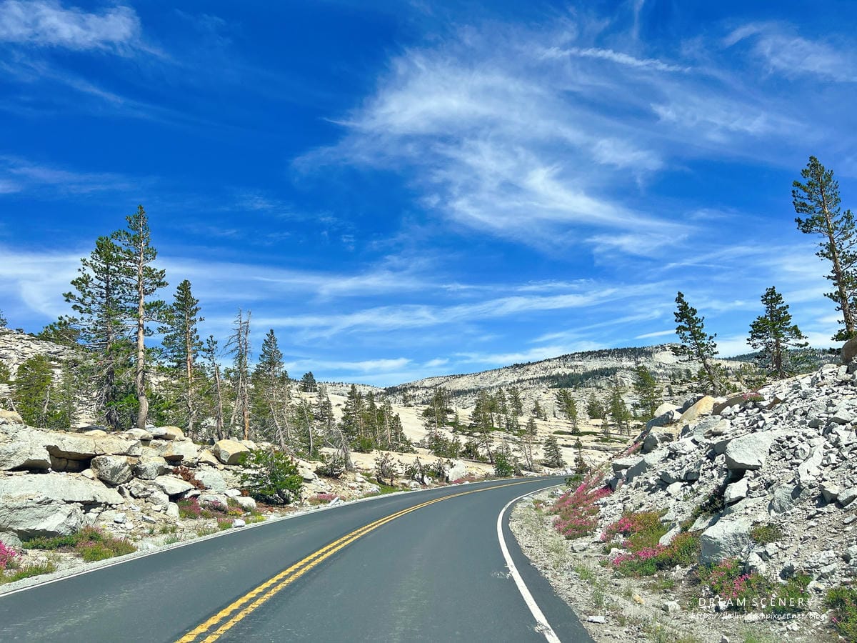 優勝美地國家公園 Yosemite National Park 優勝美地國家公園 Yosemite National Park
