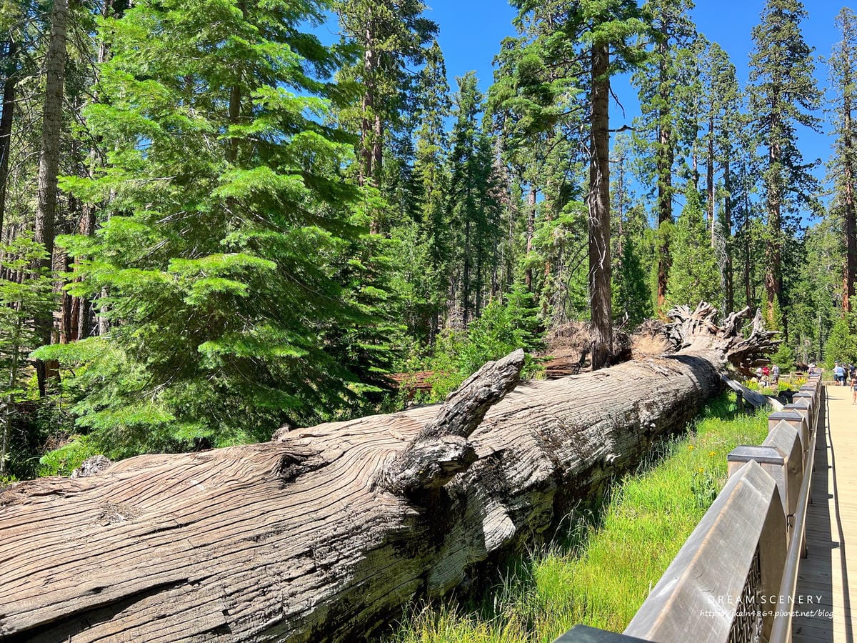 優勝美地國家公園 Yosemite National Park 優勝美地國家公園 Yosemite National Park