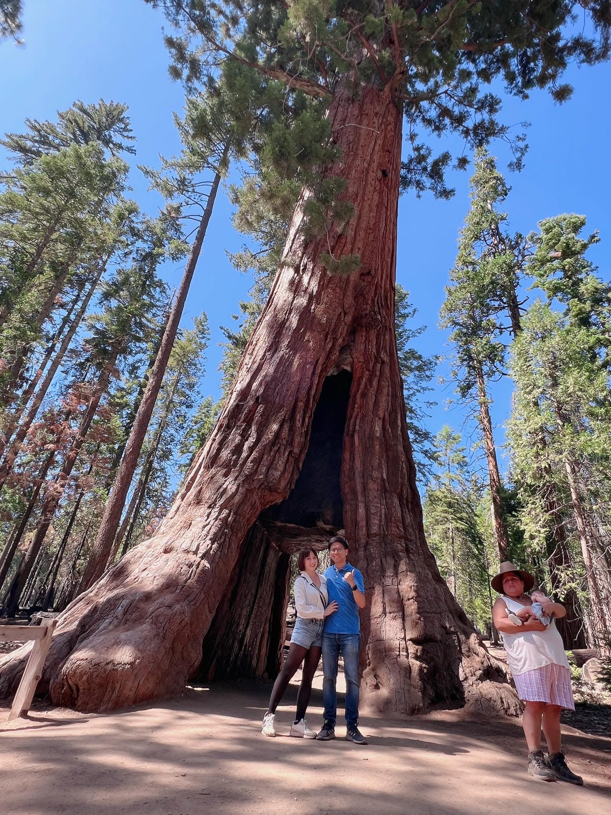 優勝美地國家公園 Yosemite National Park 優勝美地國家公園 Yosemite National Park