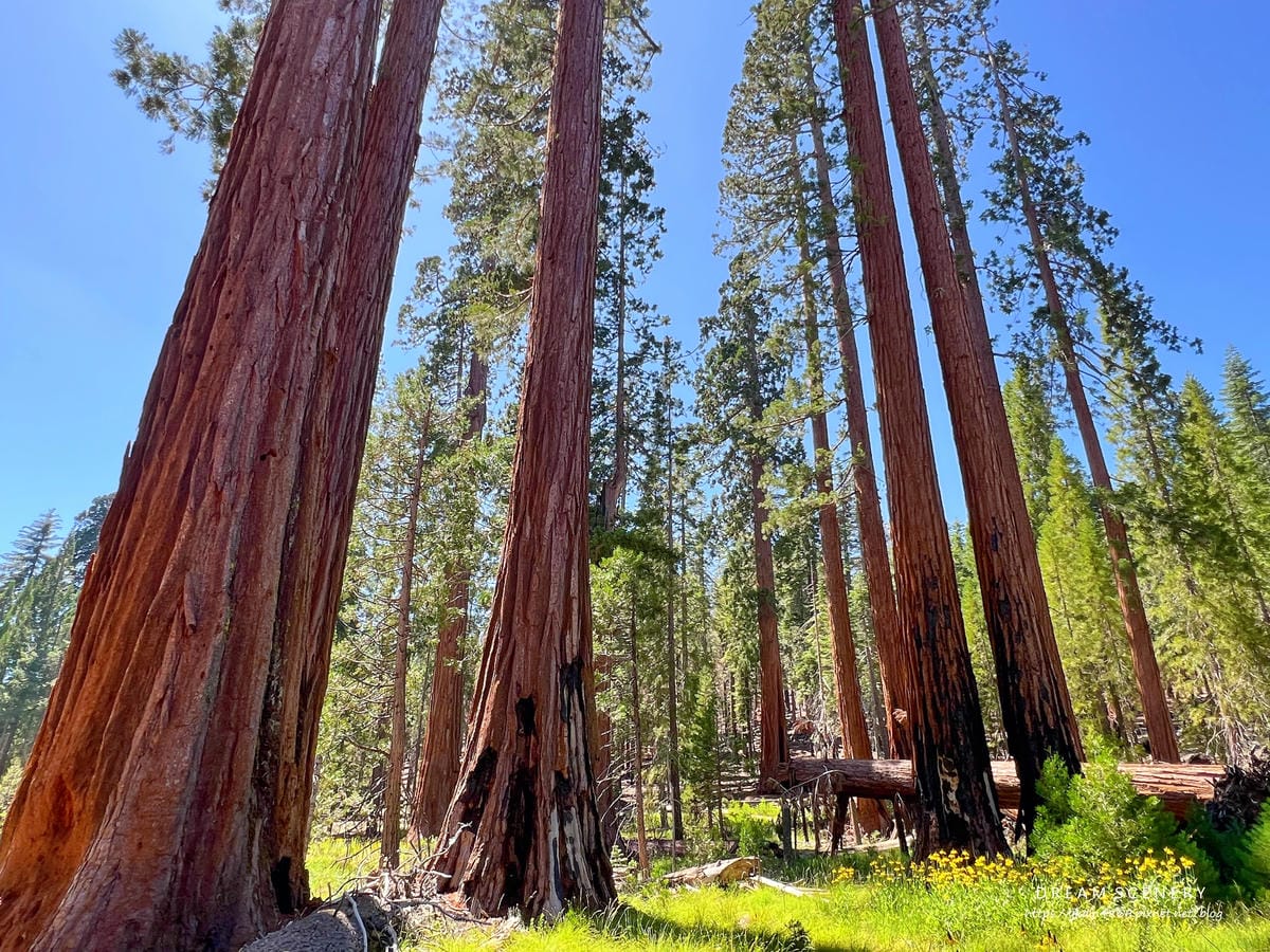 優勝美地國家公園 Yosemite National Park 優勝美地國家公園 Yosemite National Park