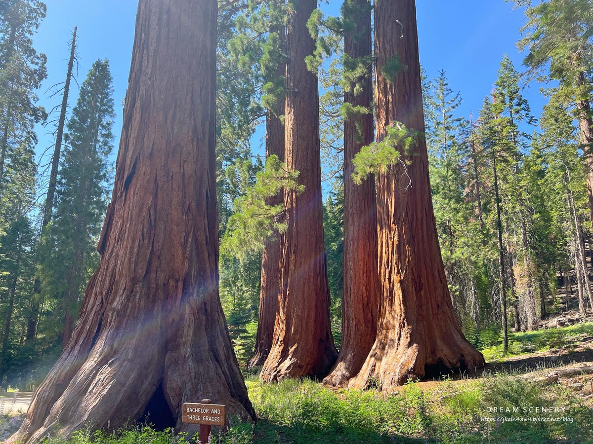 優勝美地國家公園 Yosemite National Park 優勝美地國家公園 Yosemite National Park