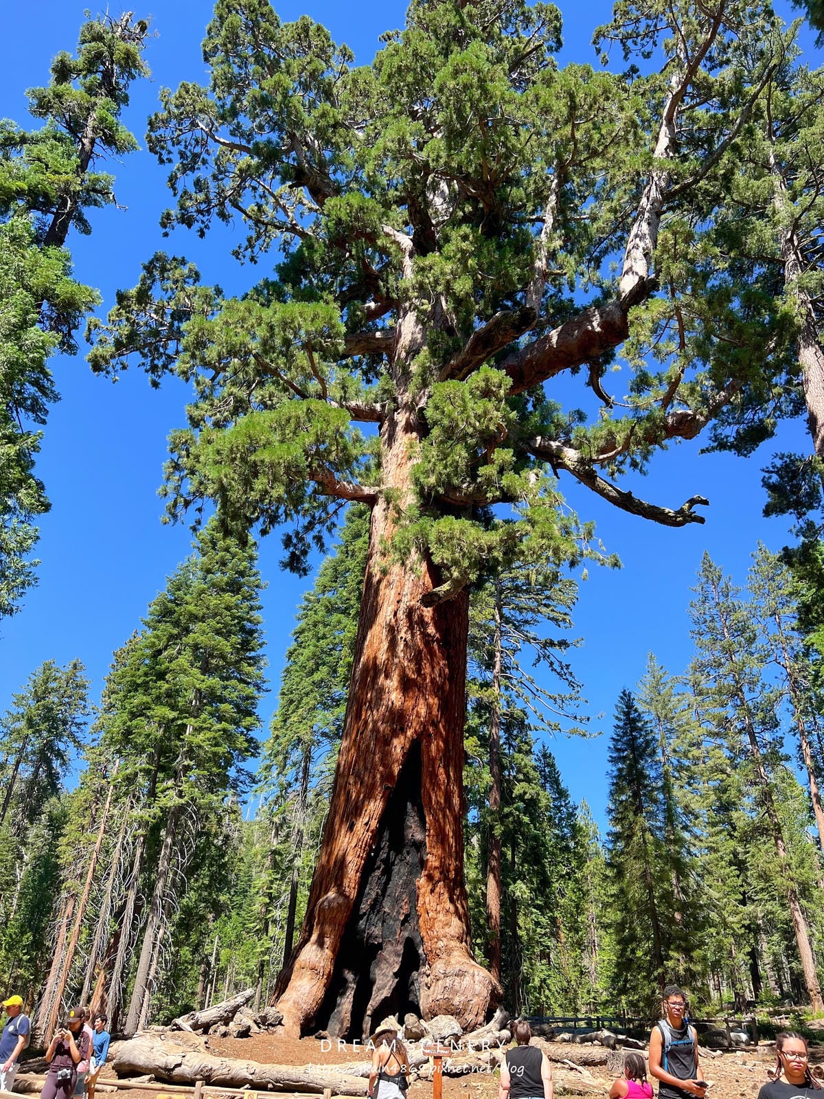 優勝美地國家公園 Yosemite National Park 優勝美地國家公園 Yosemite National Park