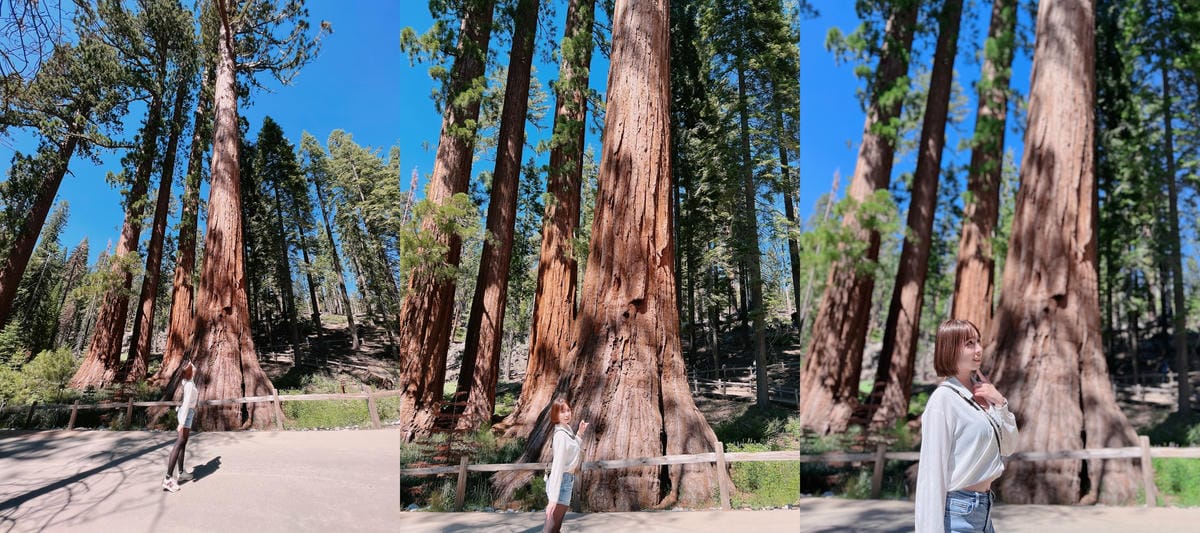 優勝美地國家公園 Yosemite National Park 優勝美地國家公園 Yosemite National Park