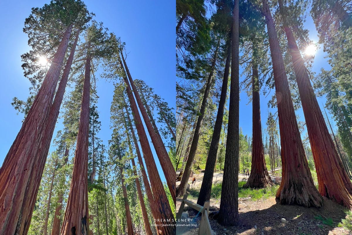 優勝美地國家公園 Yosemite National Park 優勝美地國家公園 Yosemite National Park
