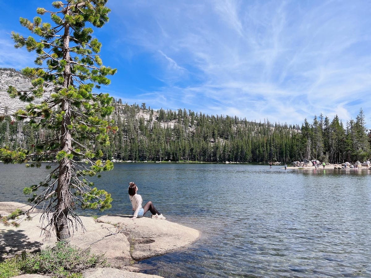 優勝美地國家公園 Yosemite National Park 優勝美地國家公園 Yosemite National Park