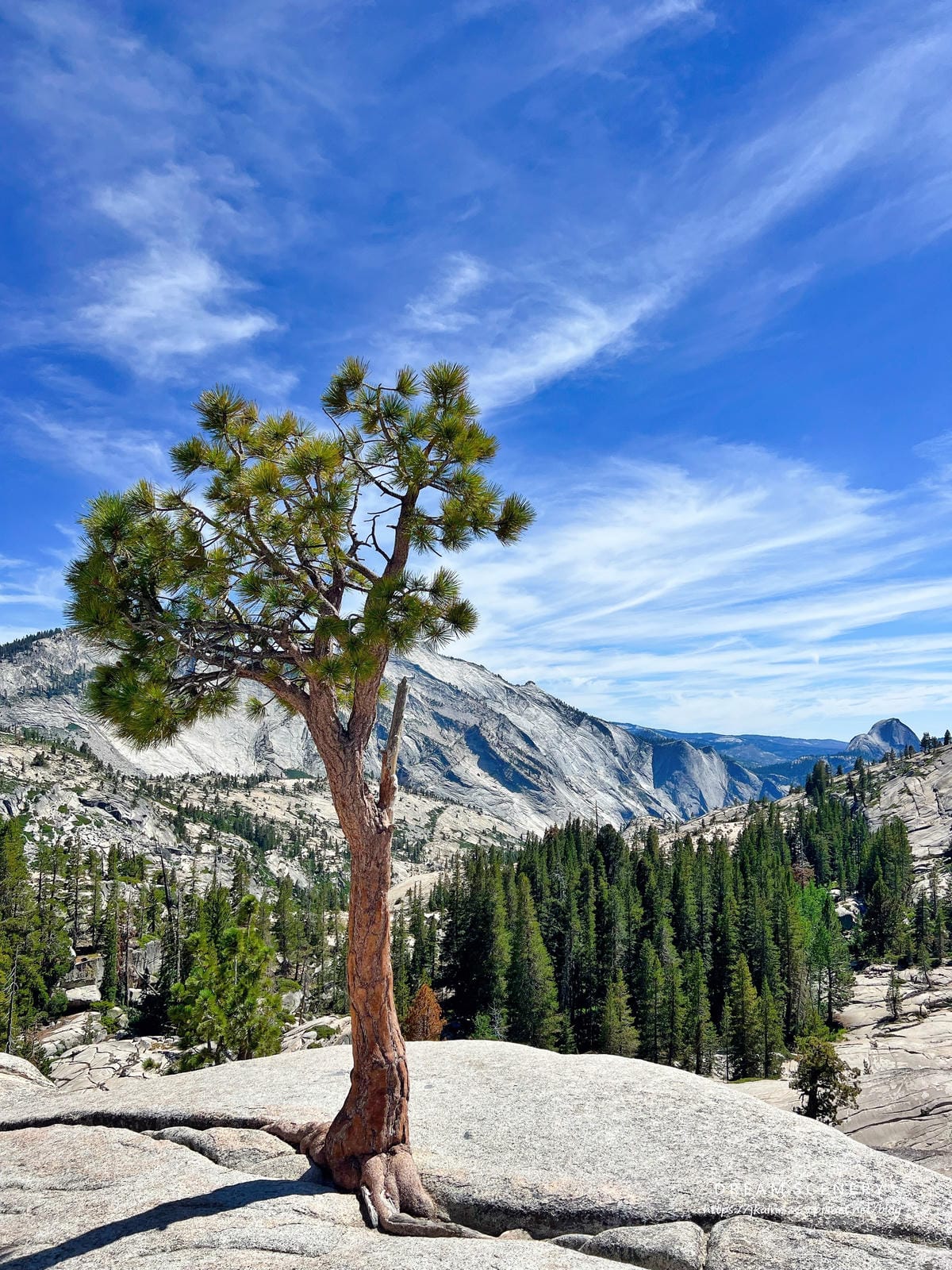 優勝美地國家公園 Yosemite National Park 優勝美地國家公園 Yosemite National Park