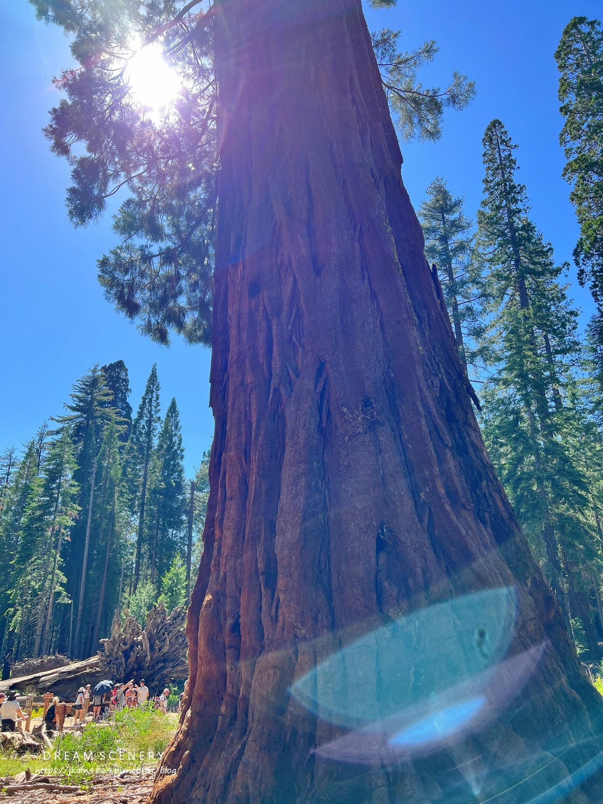 優勝美地國家公園 Yosemite National Park 優勝美地國家公園 Yosemite National Park