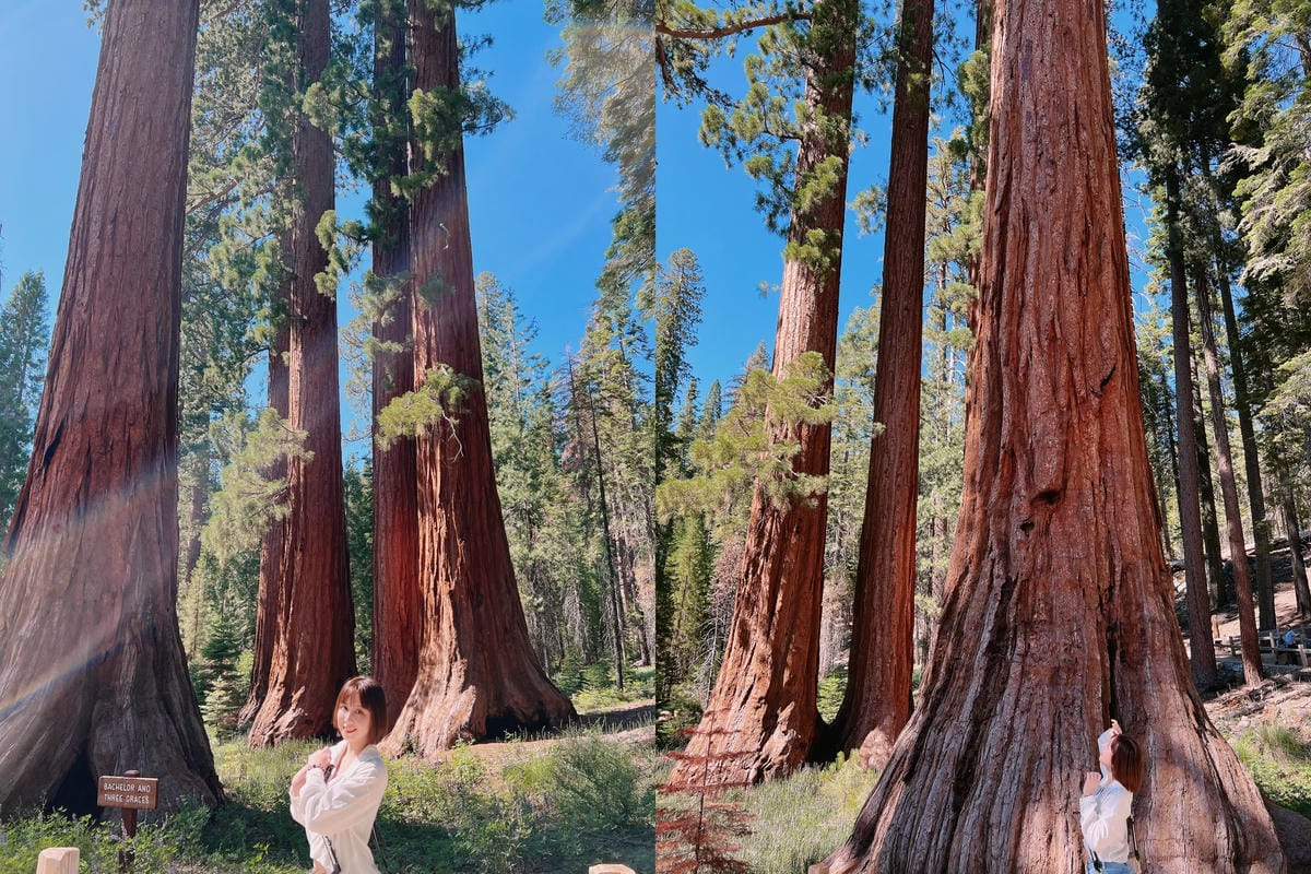 優勝美地國家公園 Yosemite National Park 優勝美地國家公園 Yosemite National Park