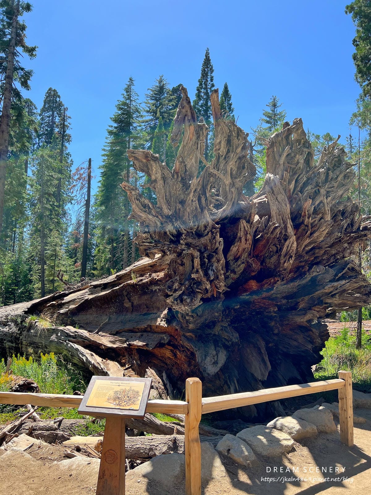 優勝美地國家公園 Yosemite National Park 優勝美地國家公園 Yosemite National Park