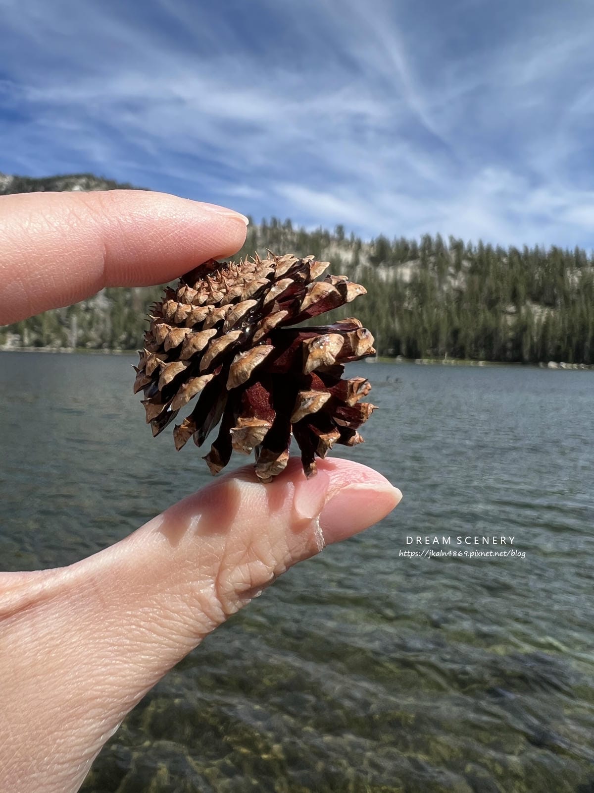 優勝美地國家公園 Yosemite National Park 優勝美地國家公園 Yosemite National Park