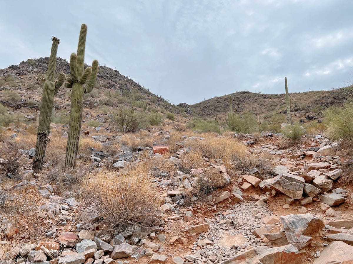 【美國-Arizona】 亞利桑那仙谷的健行區│ Dixie 【美國-Arizona】 亞利桑那仙谷的健行區│ Dixie