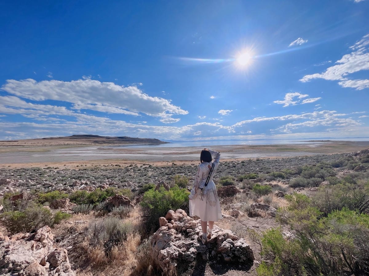 【美國-Utah】 猶他州大鹽湖上最大的島│羚羊島州立公園 【美國-Utah】 猶他州大鹽湖上最大的島│羚羊島州立公園