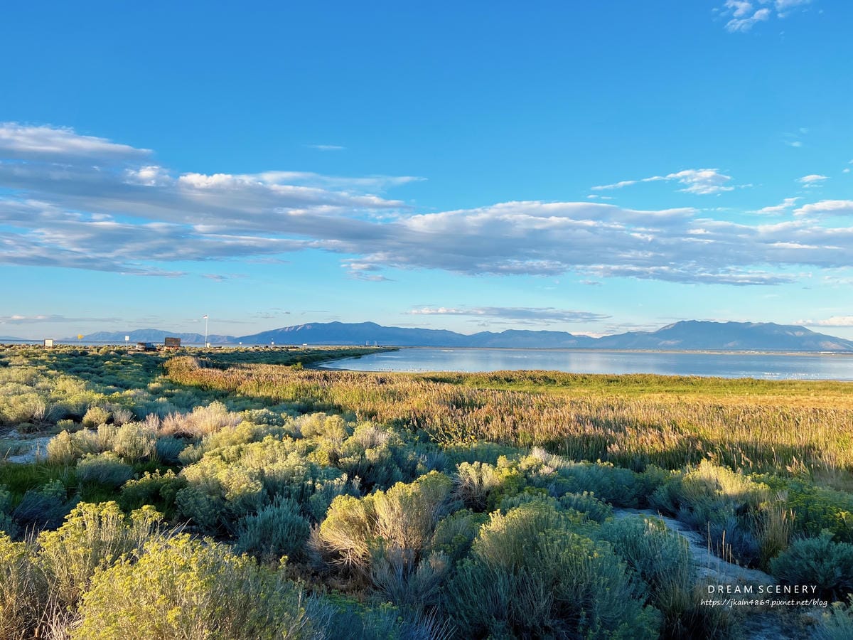 【美國-Utah】 猶他州大鹽湖上最大的島│羚羊島州立公園 【美國-Utah】 猶他州大鹽湖上最大的島│羚羊島州立公園