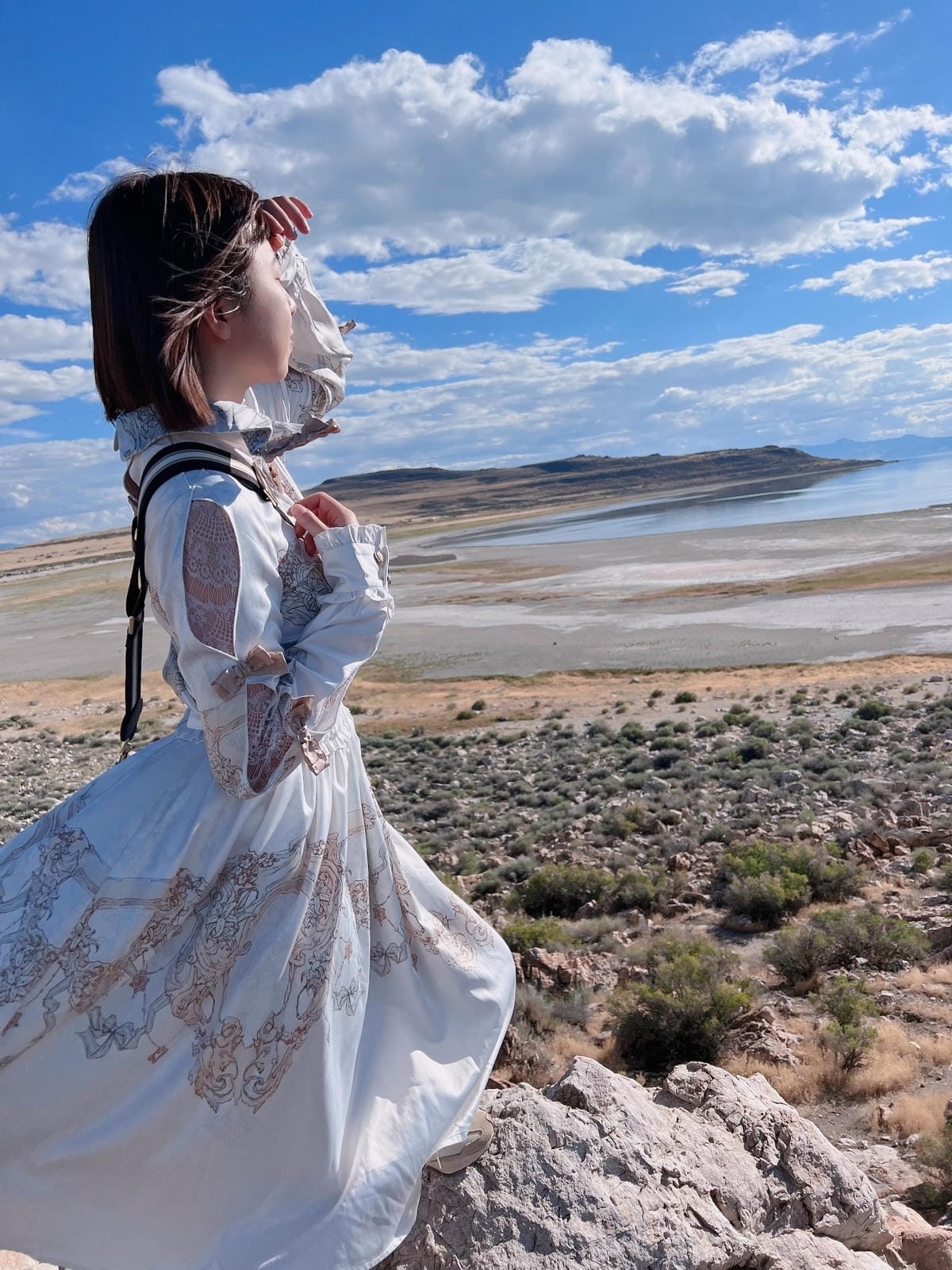 【美國-Utah】 猶他州大鹽湖上最大的島│羚羊島州立公園 【美國-Utah】 猶他州大鹽湖上最大的島│羚羊島州立公園