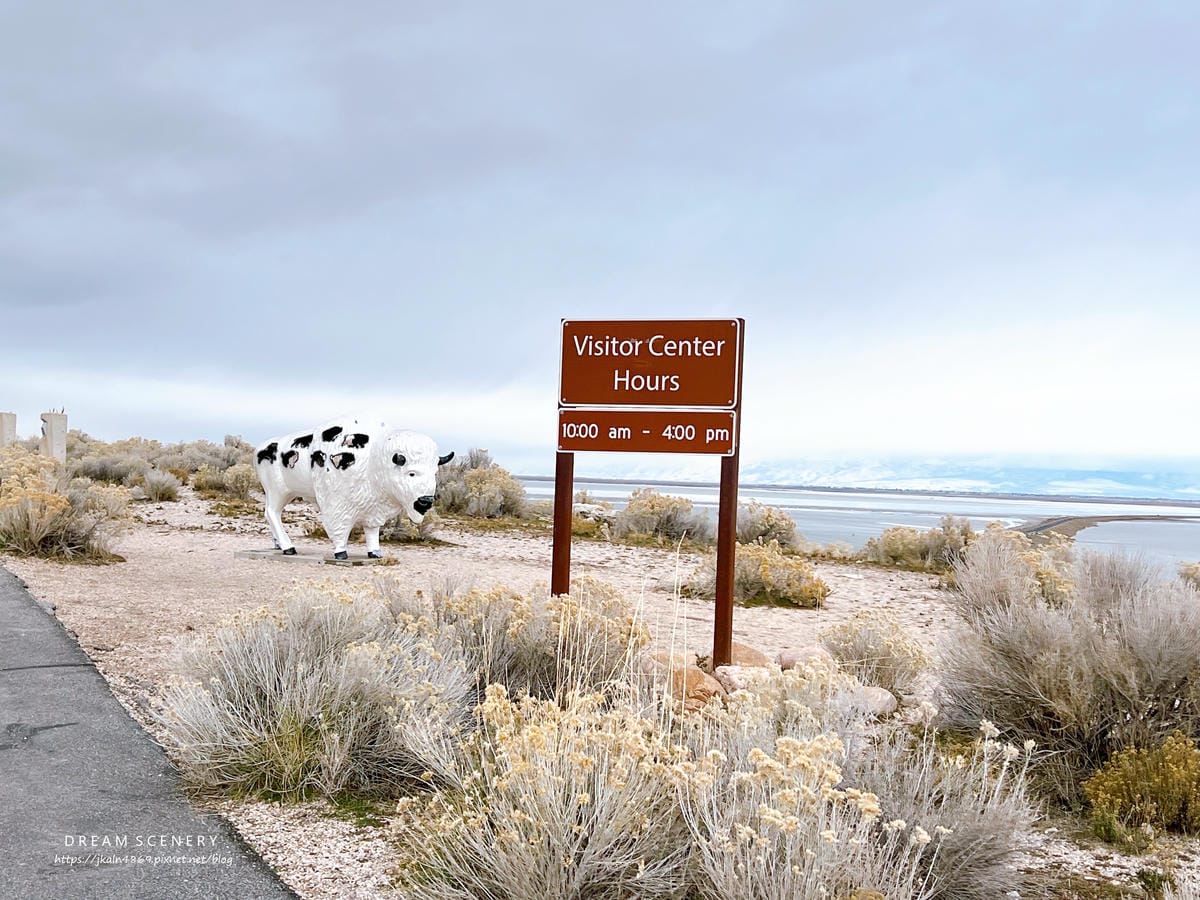 【美國-Utah】 猶他州大鹽湖上最大的島│羚羊島州立公園 【美國-Utah】 猶他州大鹽湖上最大的島│羚羊島州立公園