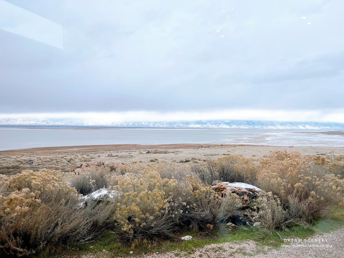 【美國-Utah】 猶他州大鹽湖上最大的島│羚羊島州立公園 【美國-Utah】 猶他州大鹽湖上最大的島│羚羊島州立公園