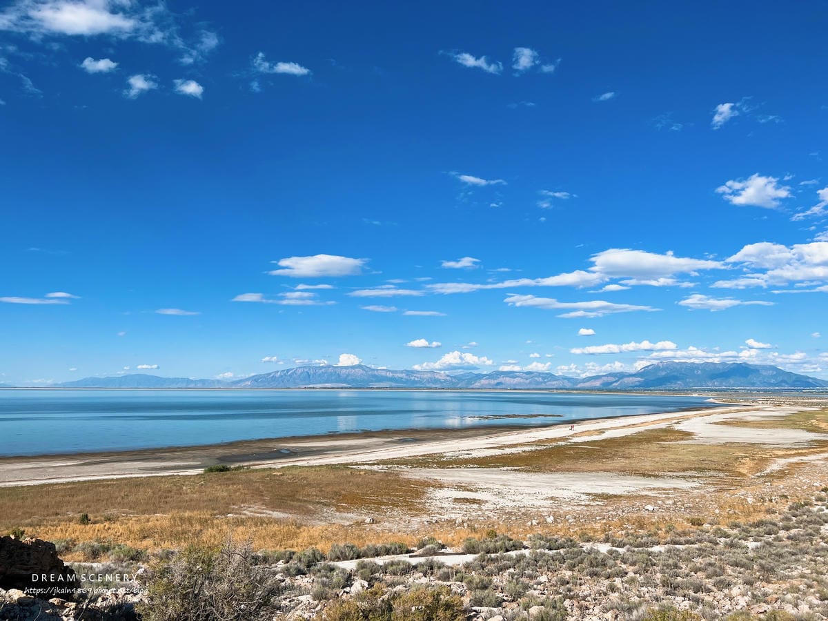 【美國-Utah】 猶他州大鹽湖上最大的島│羚羊島州立公園 【美國-Utah】 猶他州大鹽湖上最大的島│羚羊島州立公園