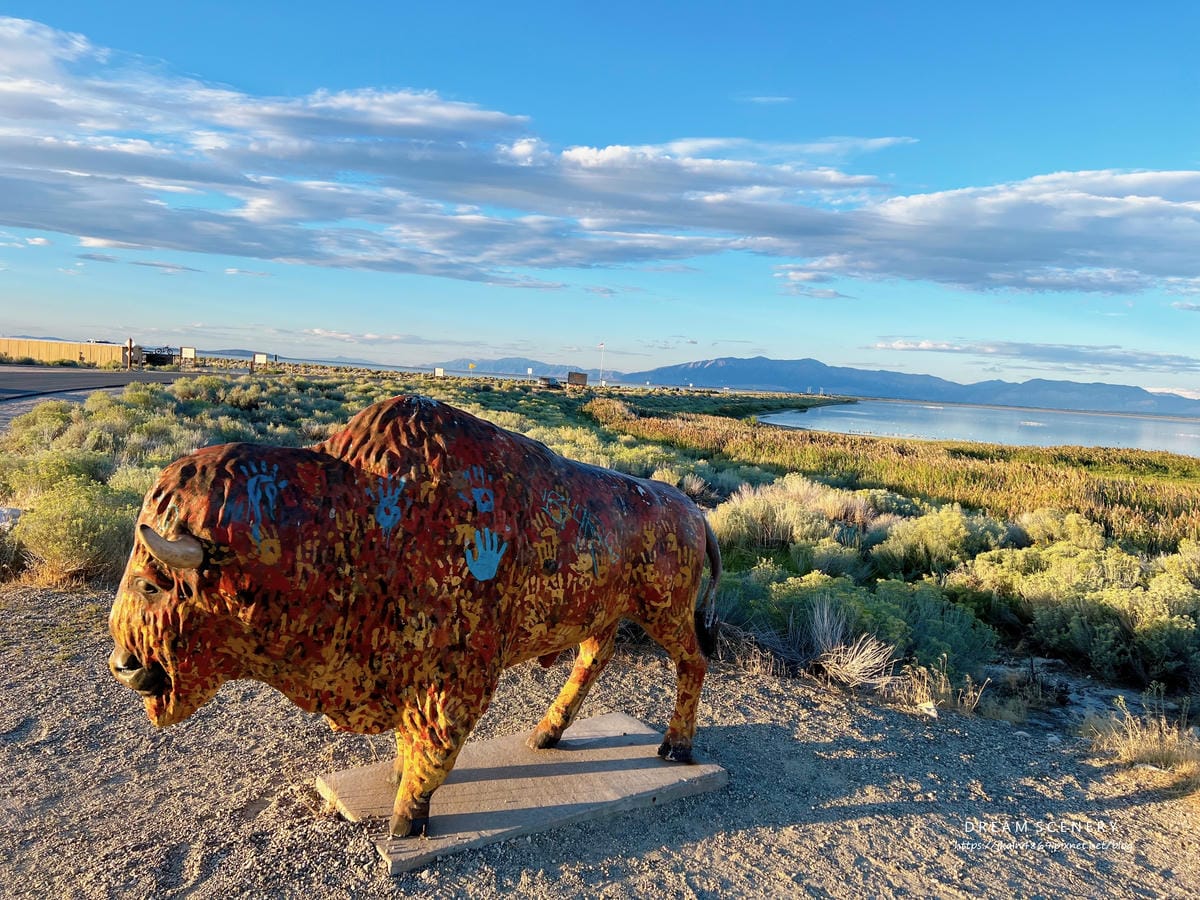 【美國-Utah】 猶他州大鹽湖上最大的島│羚羊島州立公園 【美國-Utah】 猶他州大鹽湖上最大的島│羚羊島州立公園