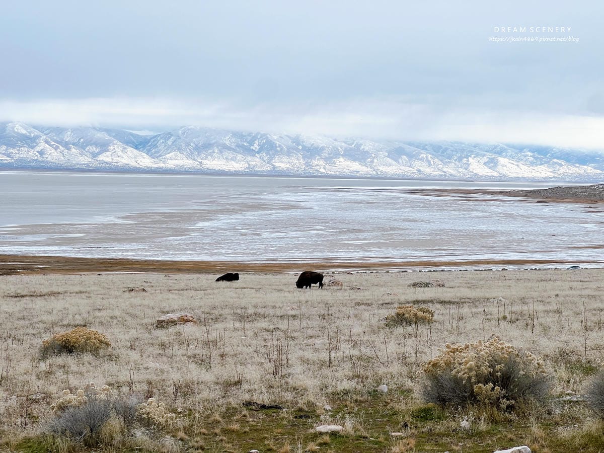 【美國-Utah】 猶他州大鹽湖上最大的島│羚羊島州立公園 【美國-Utah】 猶他州大鹽湖上最大的島│羚羊島州立公園