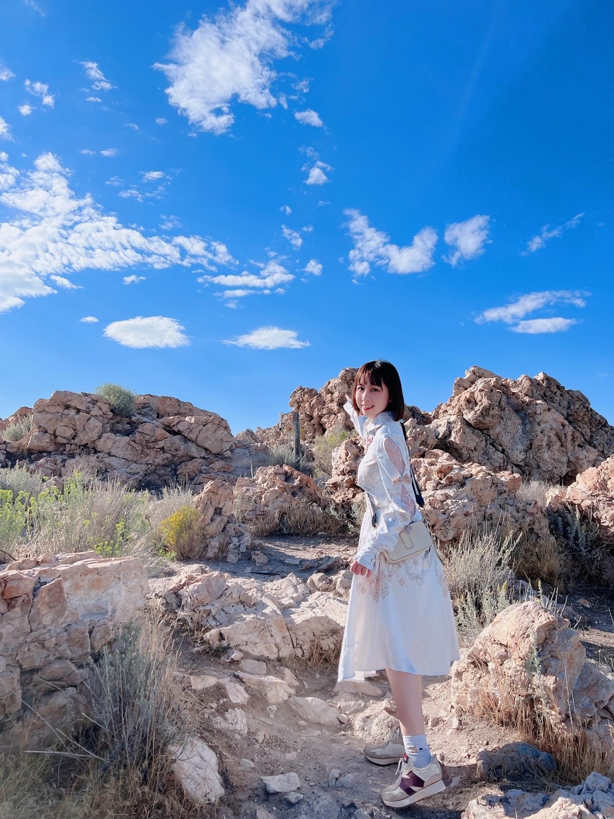 【美國-Utah】 猶他州大鹽湖上最大的島│羚羊島州立公園 【美國-Utah】 猶他州大鹽湖上最大的島│羚羊島州立公園