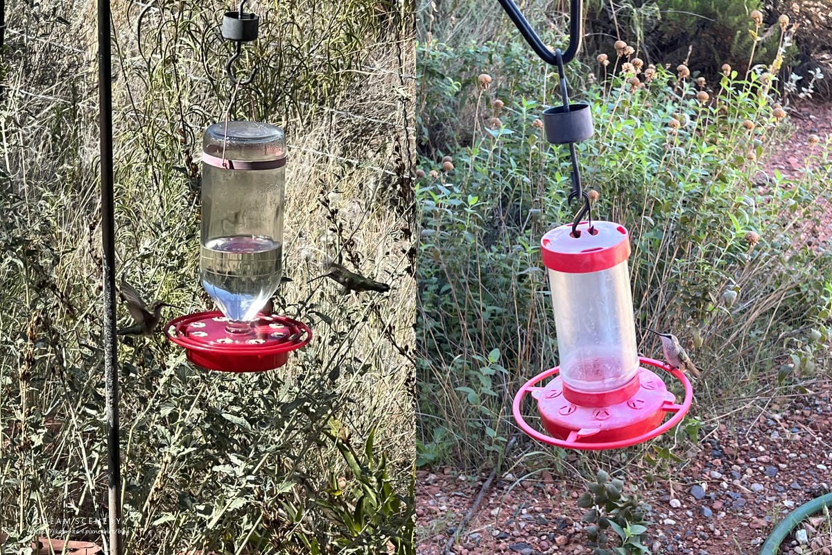 【美國-Arizona】 Sedona紅色岩層│紅岩聖十字教 【美國-Arizona】 Sedona紅色岩層│紅岩聖十字教