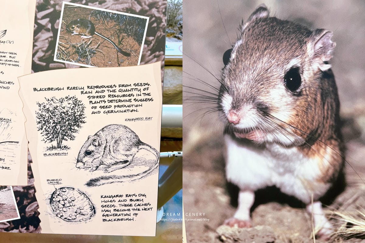 【美國-Utah】 猶他州代表地標之一│拱門國家公園│Arc 【美國-Utah】 猶他州代表地標之一│拱門國家公園│Arc
