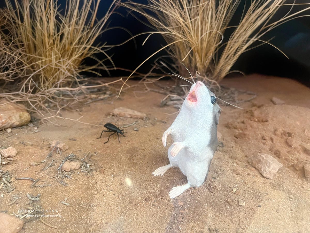 【美國-Utah】 猶他州代表地標之一│拱門國家公園│Arc 【美國-Utah】 猶他州代表地標之一│拱門國家公園│Arc