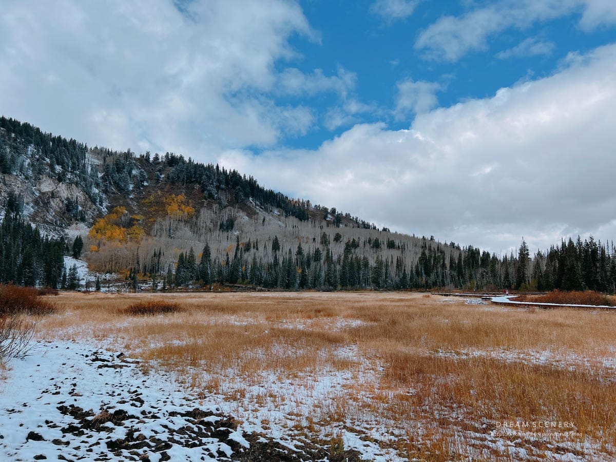 【美國-Utah】 楓葉雪景一條路完成│Storm Moun 【美國-Utah】 楓葉雪景一條路完成│Storm Moun