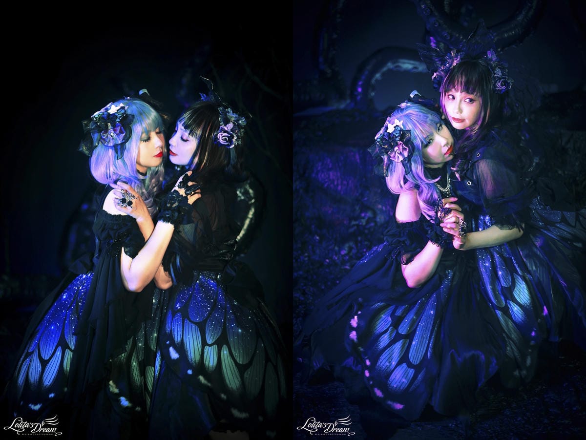🦋 蝴蝶效應 🦋 🦋 蝴蝶效應 🦋