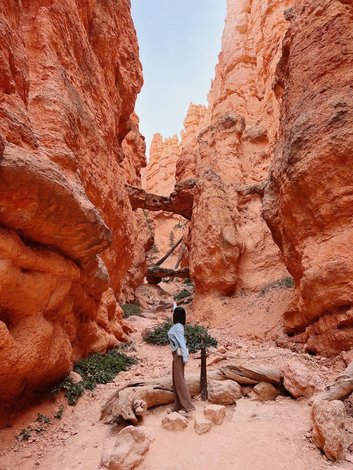 布萊斯峽谷國家公園 Bryce Canyon National Park 布萊斯峽谷國家公園 Bryce Canyon National Park