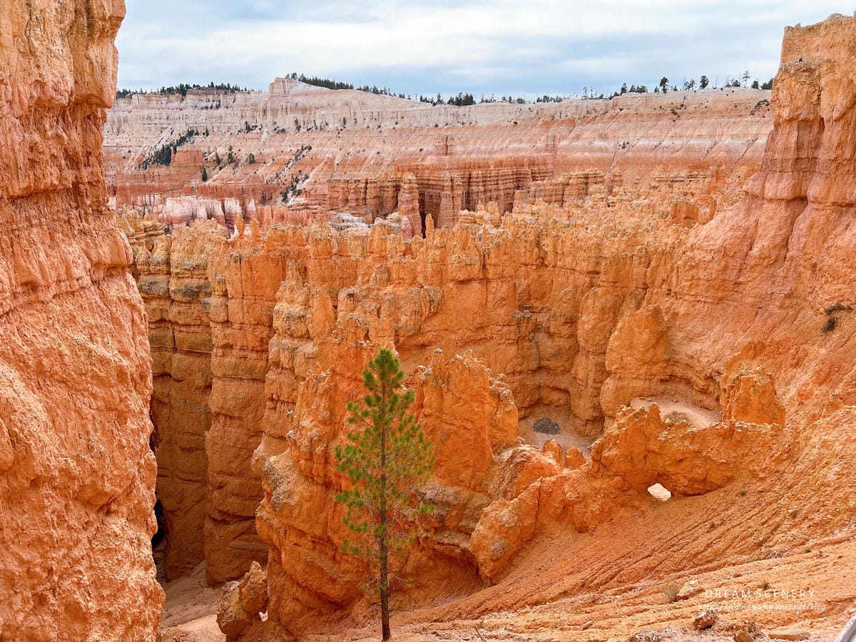 布萊斯峽谷國家公園 Bryce Canyon National Park 布萊斯峽谷國家公園 Bryce Canyon National Park