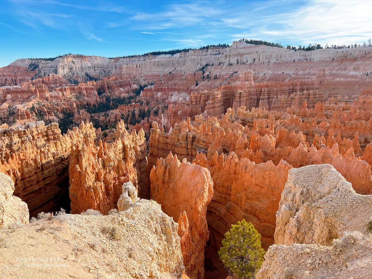布萊斯峽谷國家公園 Bryce Canyon National Park 布萊斯峽谷國家公園 Bryce Canyon National Park