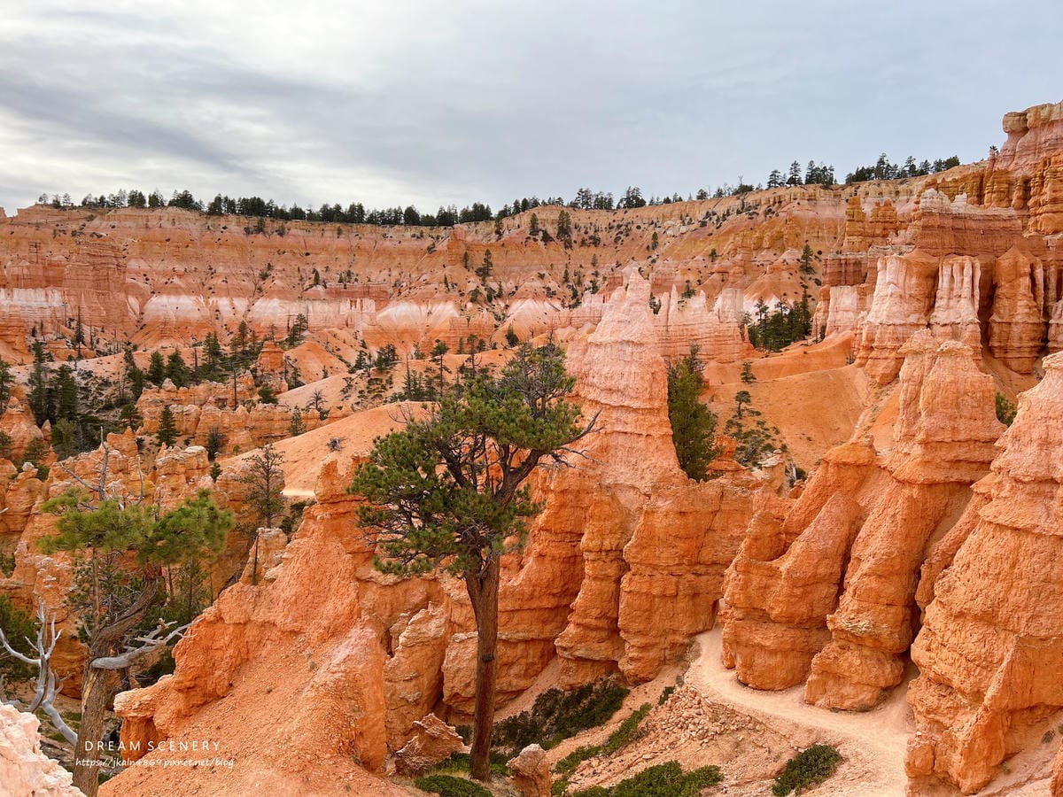 布萊斯峽谷國家公園 Bryce Canyon National Park 布萊斯峽谷國家公園 Bryce Canyon National Park