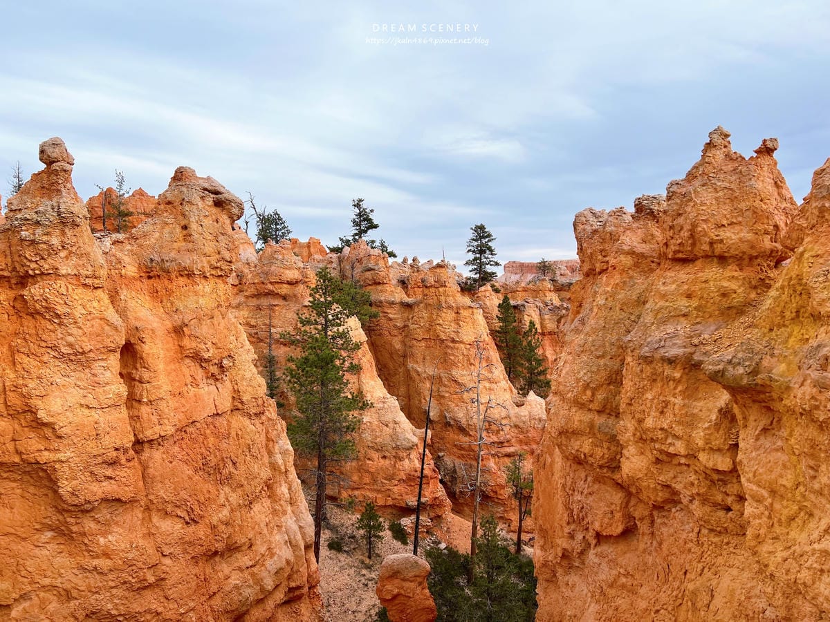 布萊斯峽谷國家公園 Bryce Canyon National Park 布萊斯峽谷國家公園 Bryce Canyon National Park