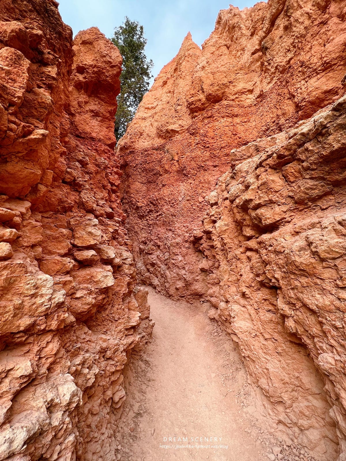 布萊斯峽谷國家公園 Bryce Canyon National Park 布萊斯峽谷國家公園 Bryce Canyon National Park