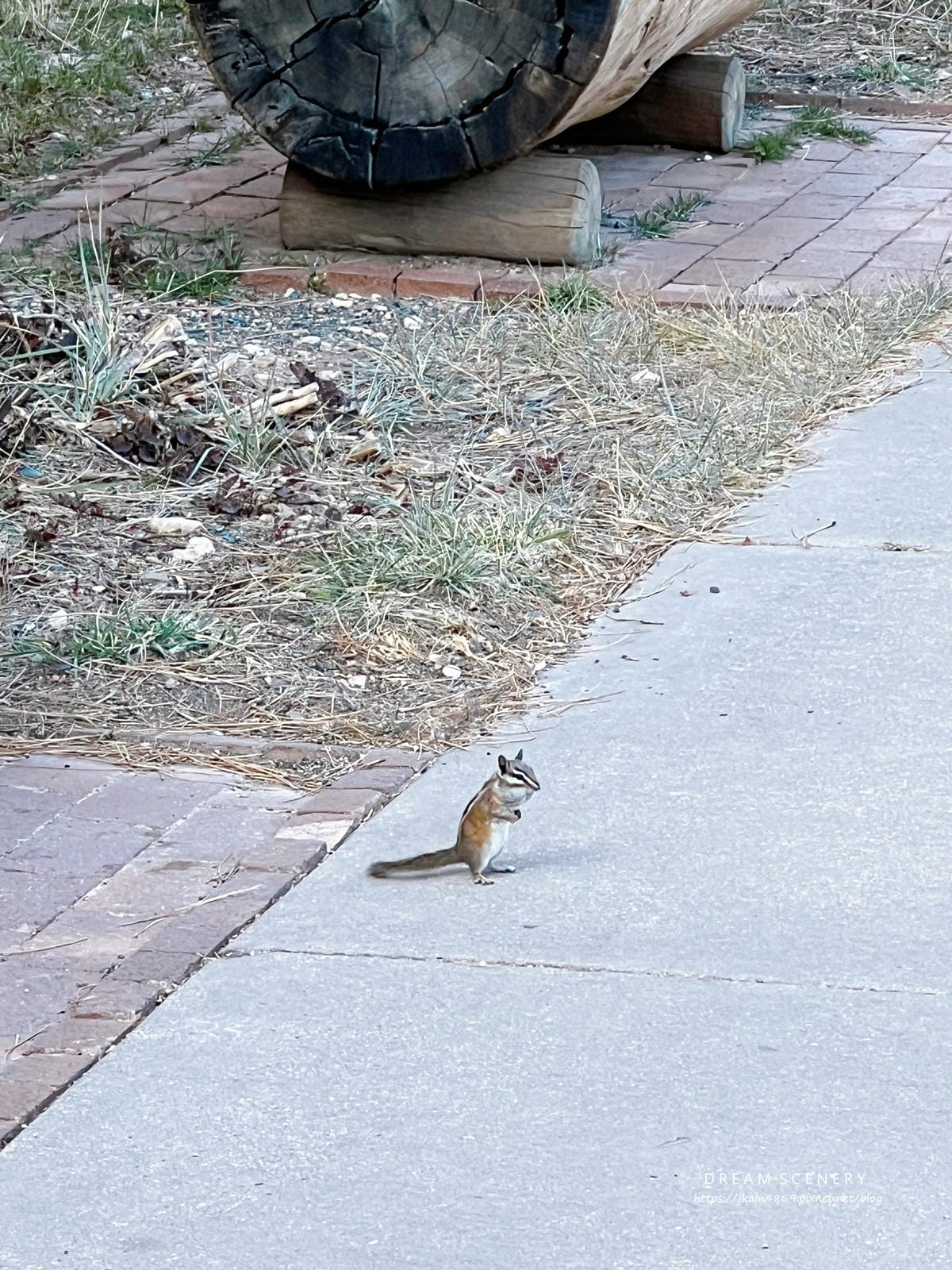 布萊斯峽谷國家公園 Bryce Canyon National Park 布萊斯峽谷國家公園 Bryce Canyon National Park