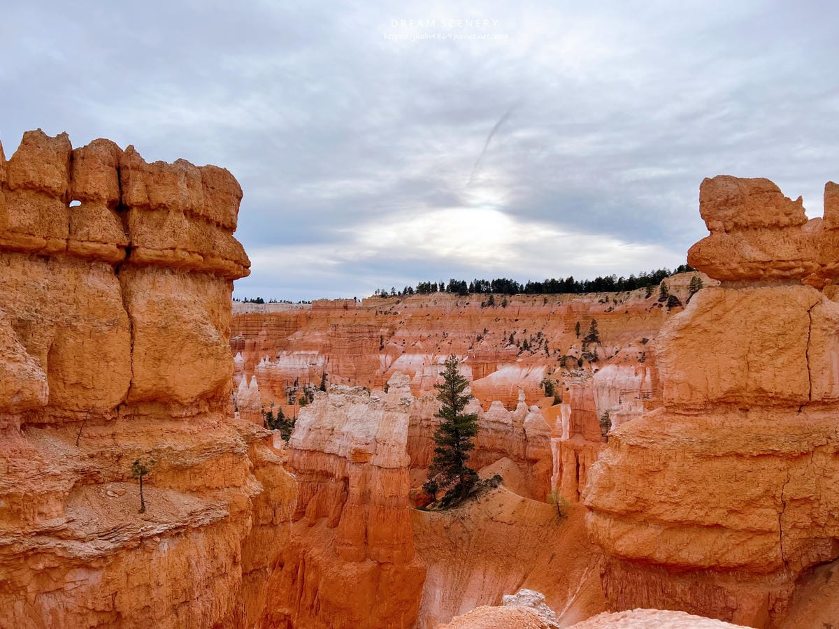 布萊斯峽谷國家公園 Bryce Canyon National Park 布萊斯峽谷國家公園 Bryce Canyon National Park
