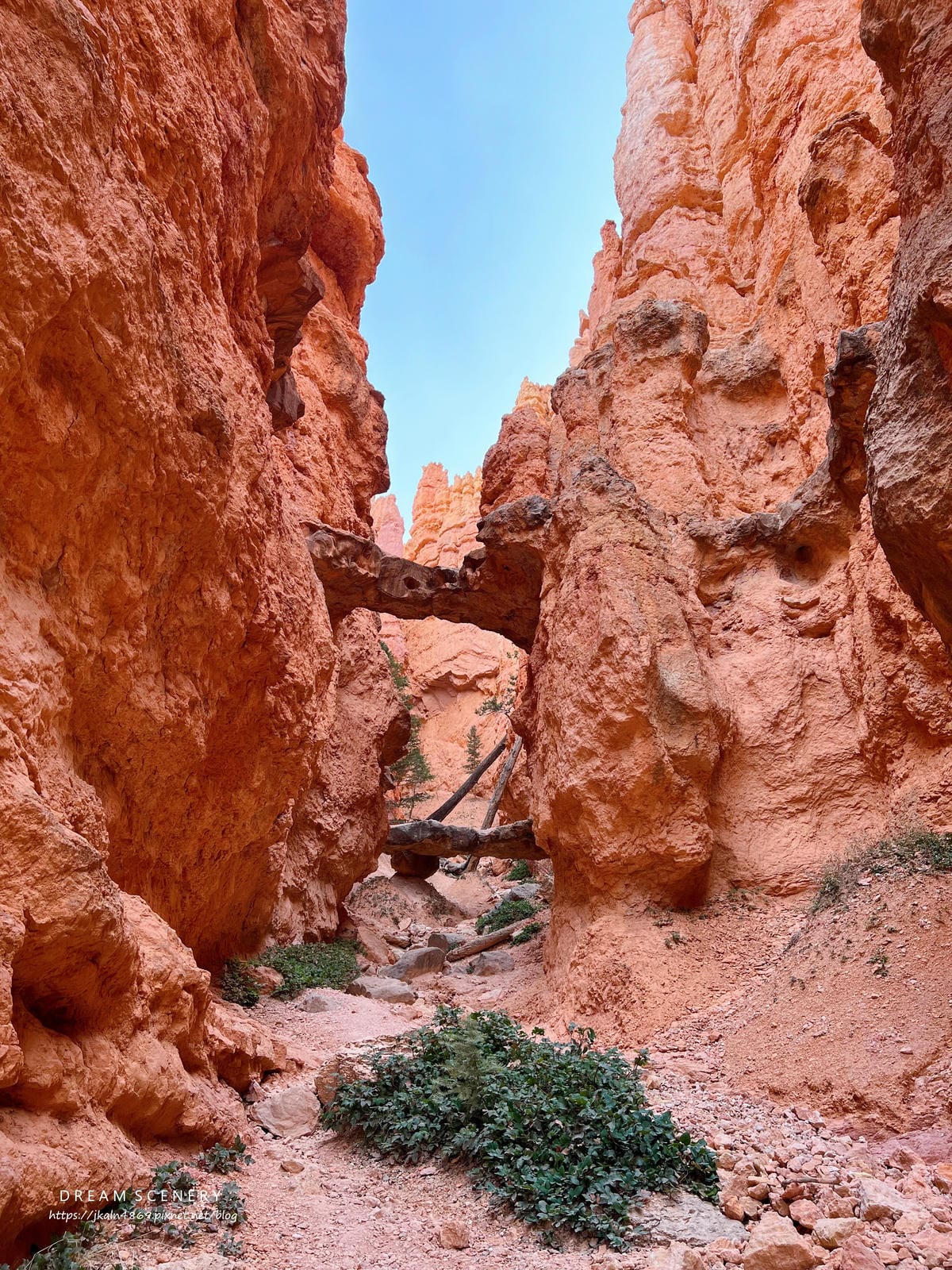 布萊斯峽谷國家公園 Bryce Canyon National Park 布萊斯峽谷國家公園 Bryce Canyon National Park