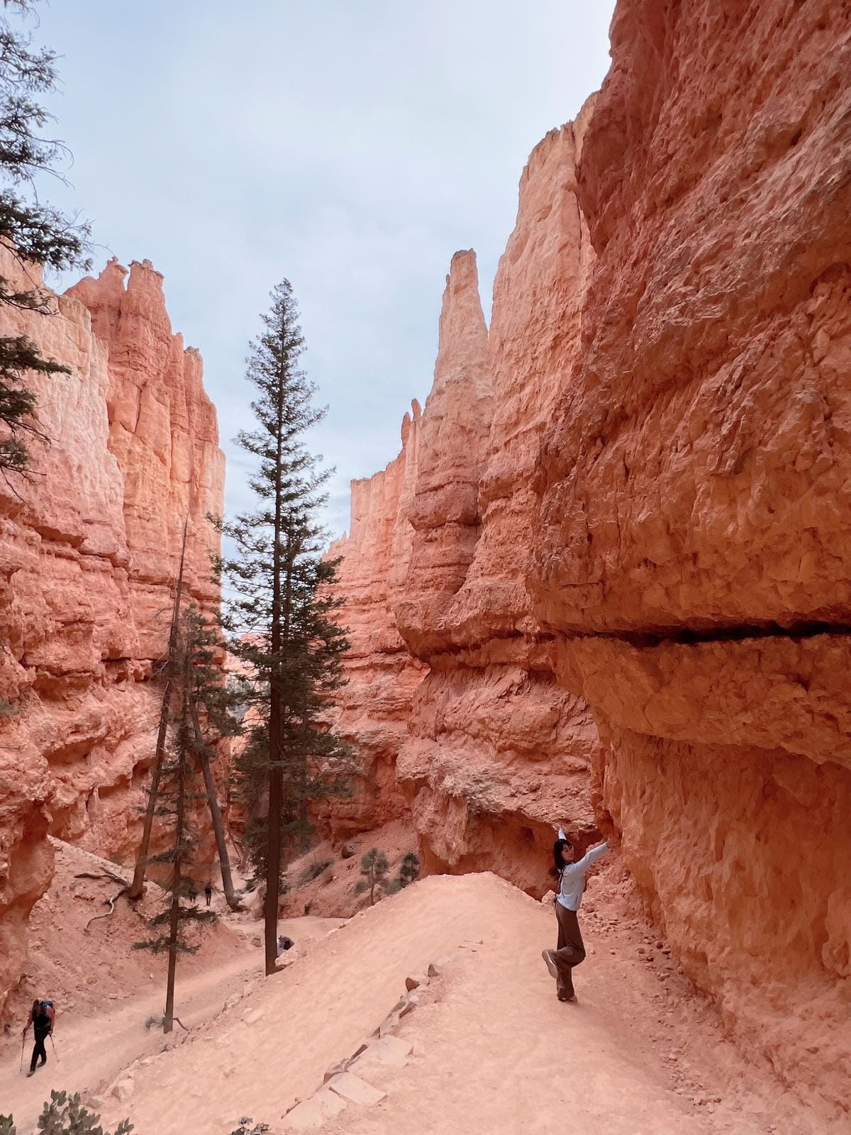 布萊斯峽谷國家公園 Bryce Canyon National Park 布萊斯峽谷國家公園 Bryce Canyon National Park