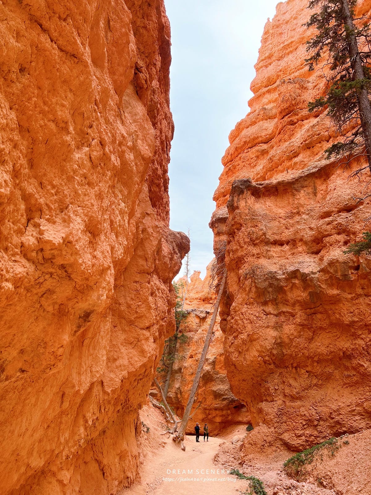 布萊斯峽谷國家公園 Bryce Canyon National Park 布萊斯峽谷國家公園 Bryce Canyon National Park